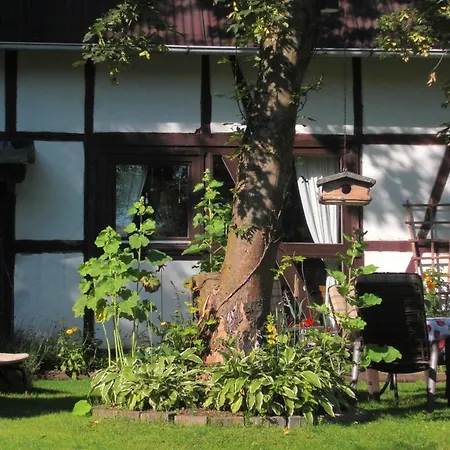 Apartamento Beautiful Apartment In Bad Sachsa Near The Forest *