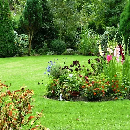 Apartamento Beautiful Apartment In Bad Sachsa Near The Forest
