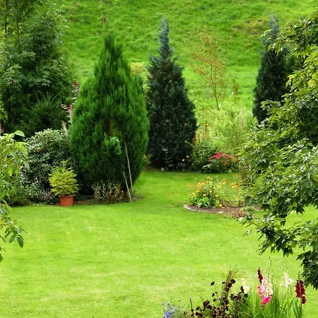 Apartamento Beautiful Apartment In Bad Sachsa Near The Forest *