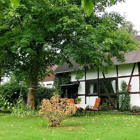 Apartamento Beautiful Apartment In Bad Sachsa Near The Forest *